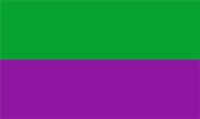 Bandera Turri