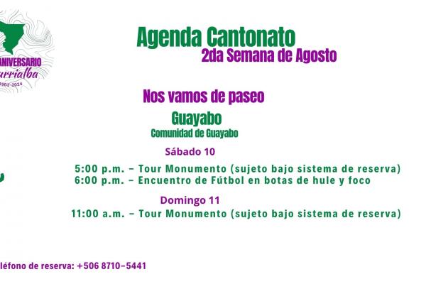 Cantonato 121 8